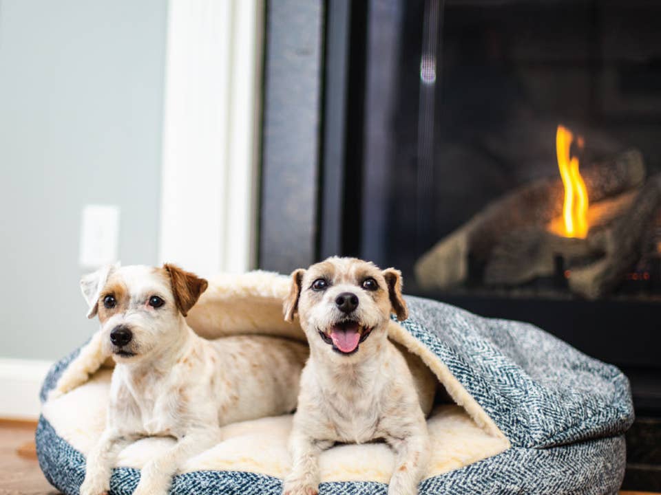 Show Dog Cozy Cave® Rond