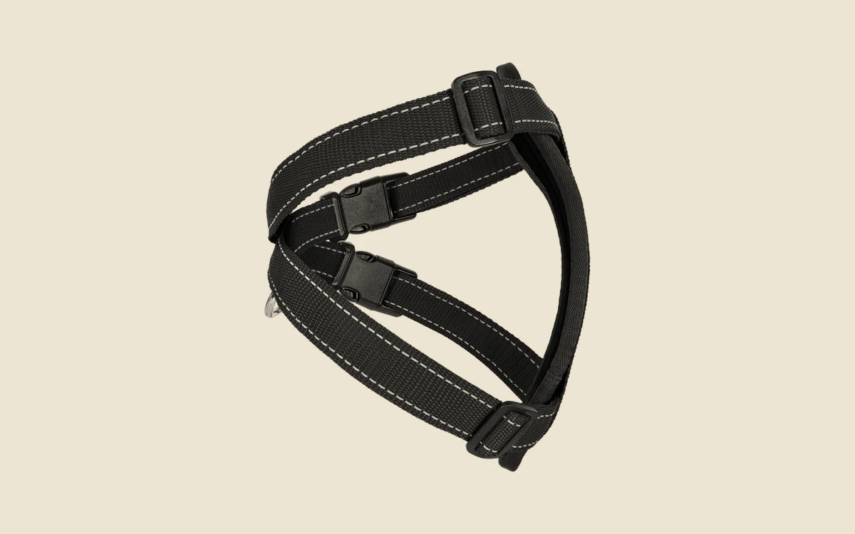Chest Plate borsttuig