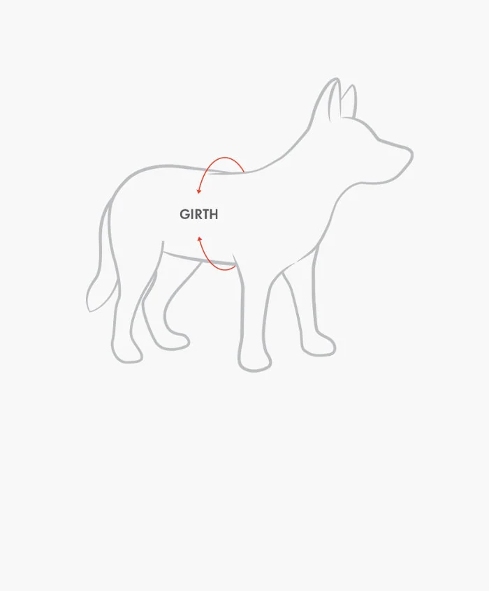 Hond van opzij met een meetlint rondom de borst, direct achter de voorpoten.