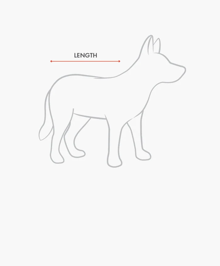Hond van opzij met een meetlijn vanaf de nekbasis tot aan de staartaanzet.