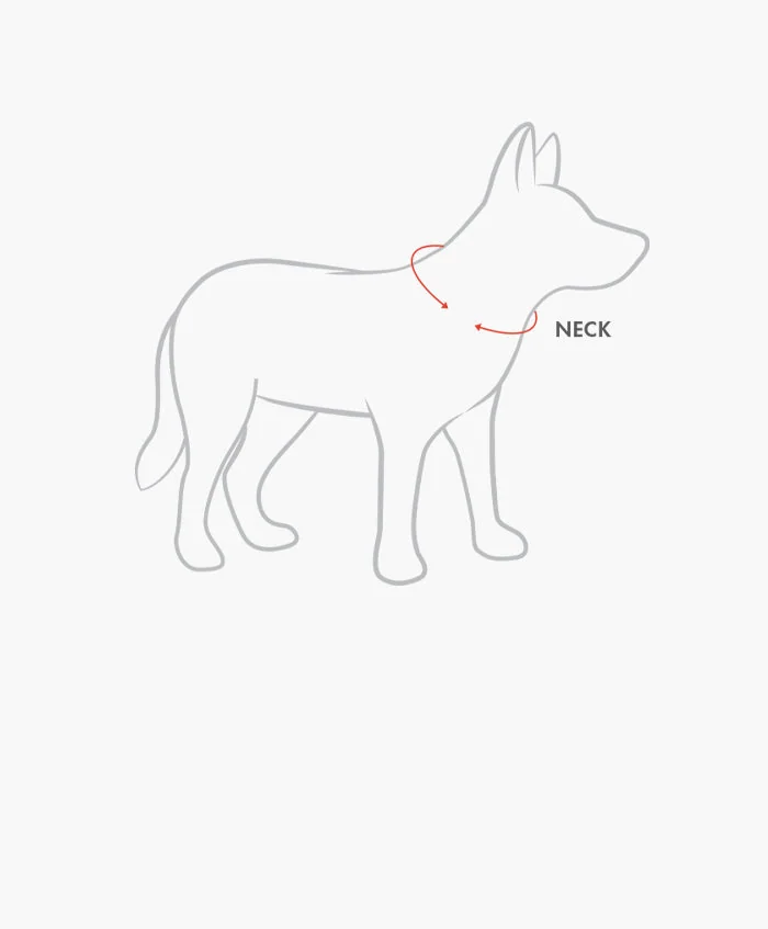 Hond van opzij met een meetlint rondom de nek waar een halsband zit.