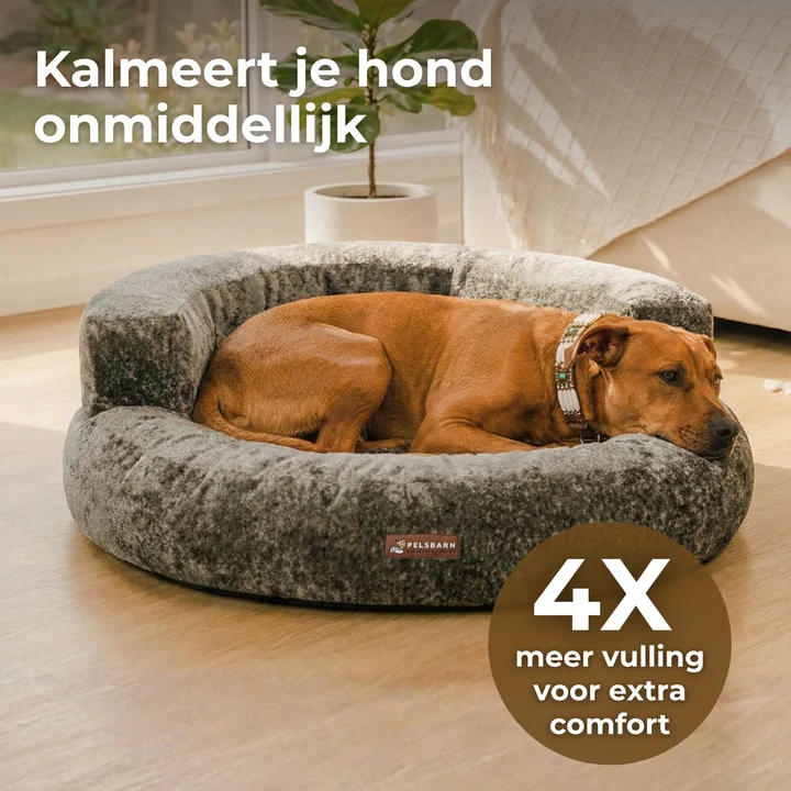 Cloud Velvet Lounge Bed