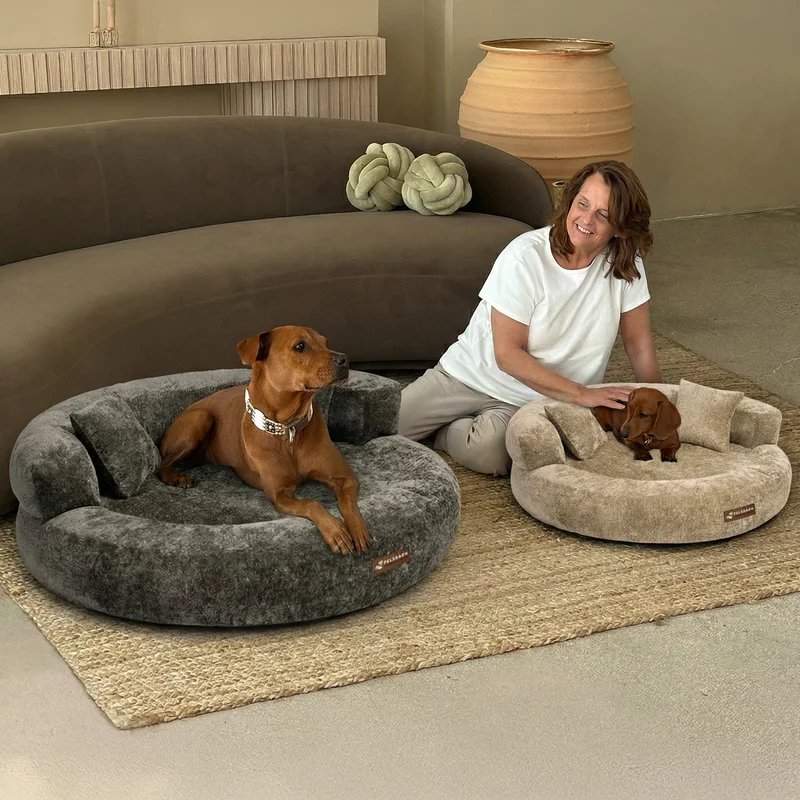 Cloud Velvet Lounge Bed