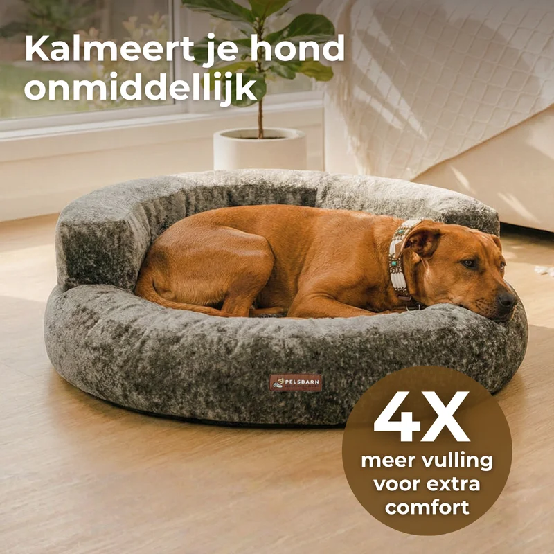 Cloud Velvet Lounge Bed
